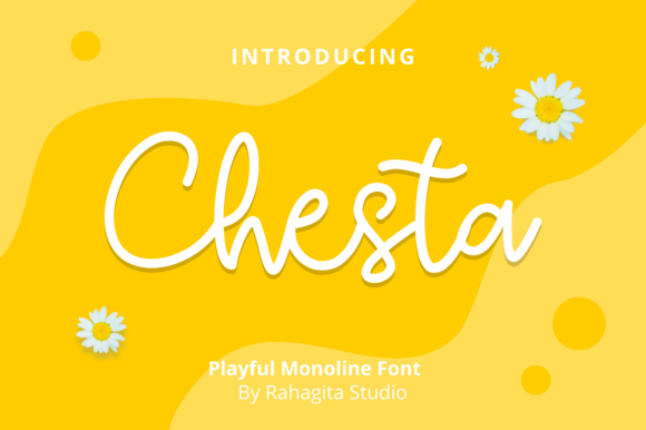 Chesta Script Handwritten Font for Timeless Branding