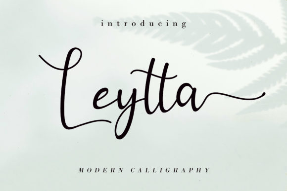 Leytta: A Sweet Script Handwritten Font for Warm, Human Campaigns
