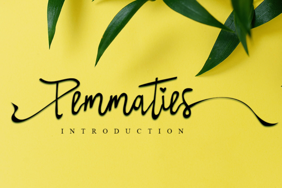 Pemmaties: A Script Handwritten Font That Makes Campaigns Feel Human