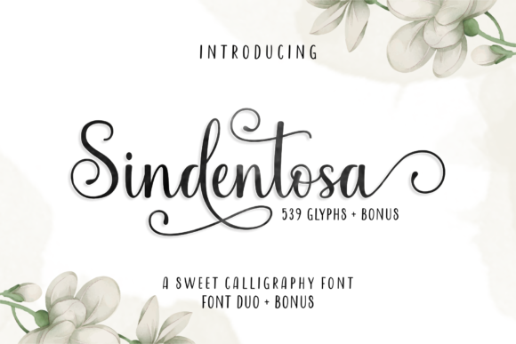 Sindentosa: A Sweet Script Handwritten Font for Digital Branding