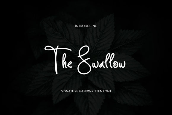 The Swallow: A Friendly Handwritten Font for Small Business Branding